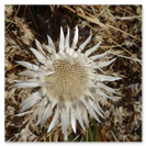 Auf Bergwanderung im Wägital