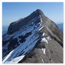 Der Schwandergrat und Gipfel vom Vrenelisgärtli