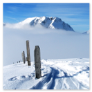 Ausblick vom Brüschbüchel Richtung Fluebrig