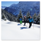 Eine Gruppe auf Skitouren mit Pulverschnee