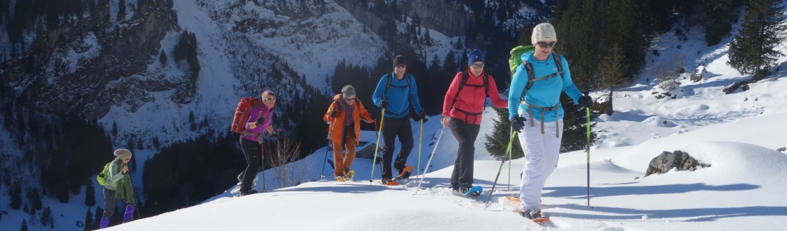 Eine Gruppe von Schneeschuhwanderern