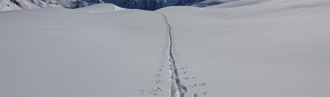 Eine einzelne Skispur im Schnee am Marmorkamm
